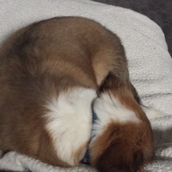 Meet your Posher, Julie - Picture 1 of 1